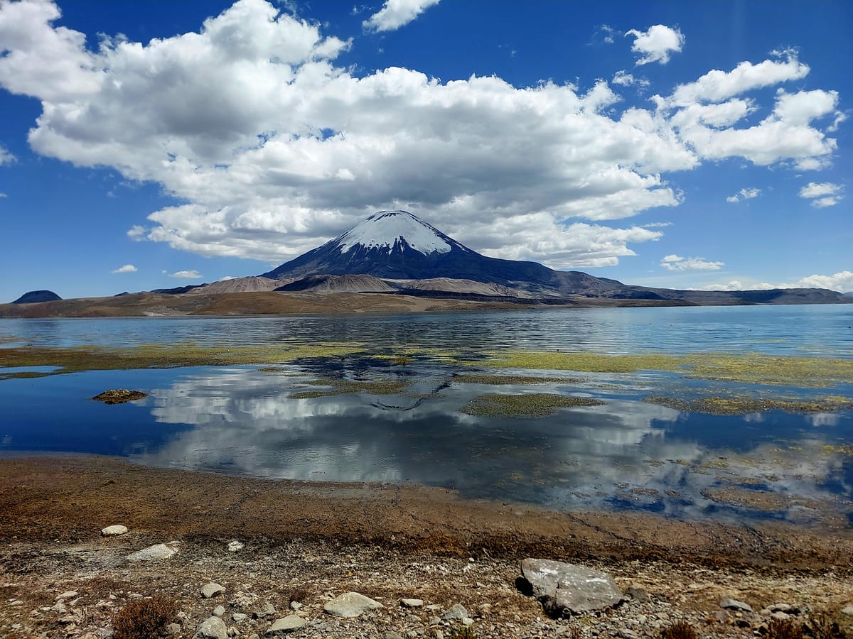 Lago Chungará Full Day